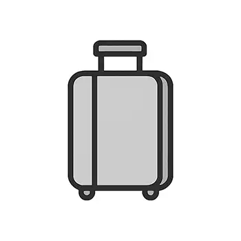 Valise