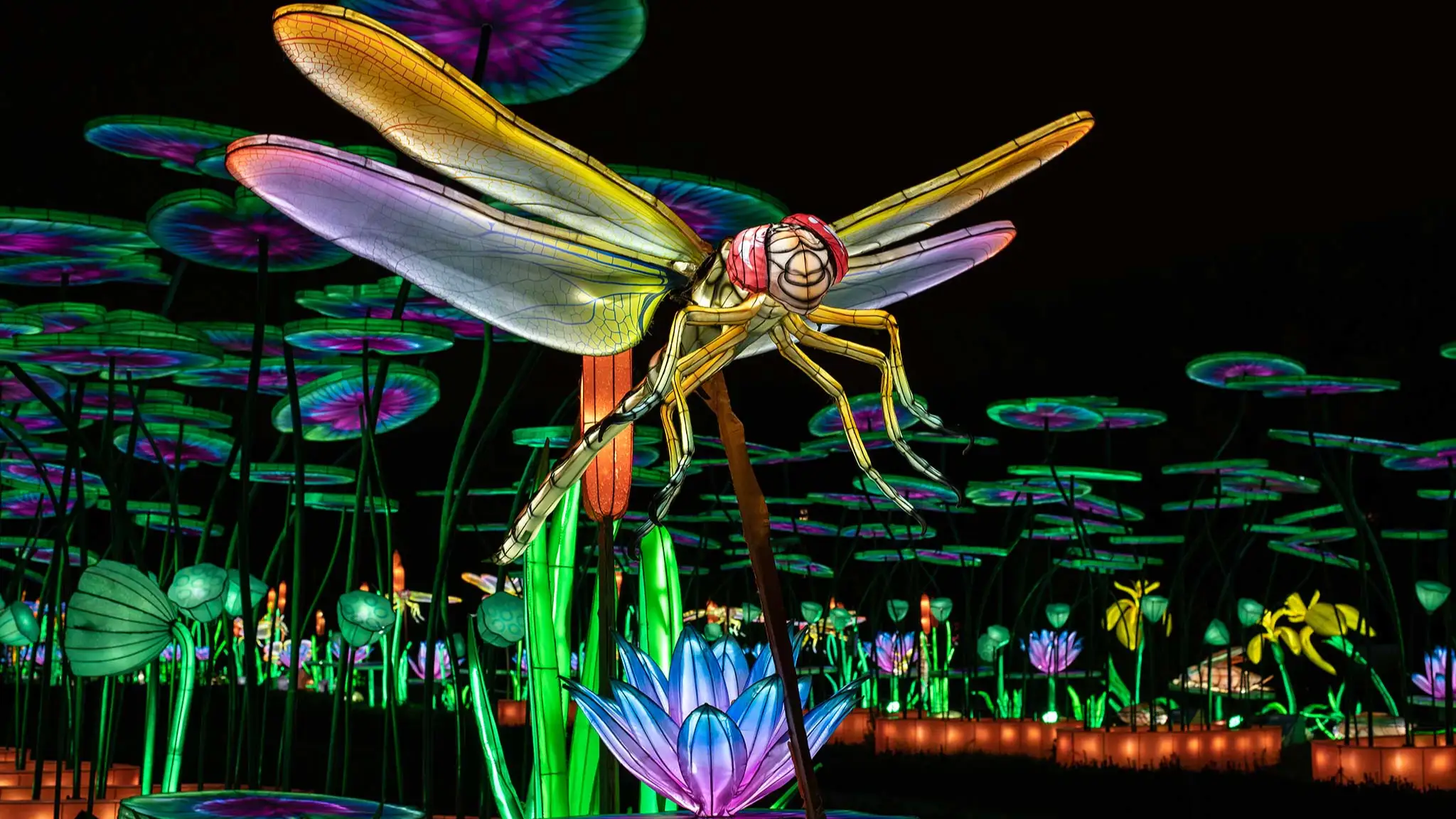 Iluminações no Jardin des Plantes 2025: “A caminho da iluminação – Luzes da Natureza”