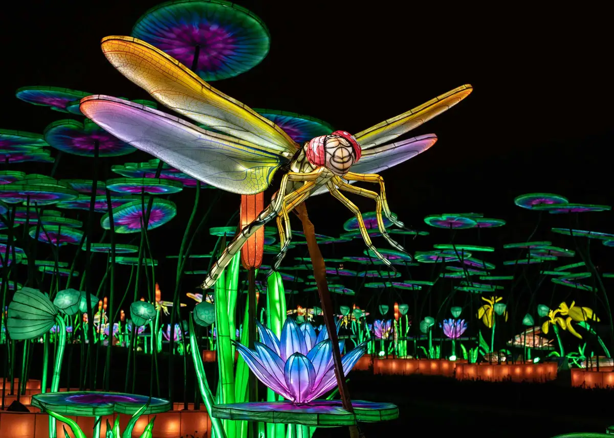 2025年植物园灯光秀：“通往光明之路——自然之光”