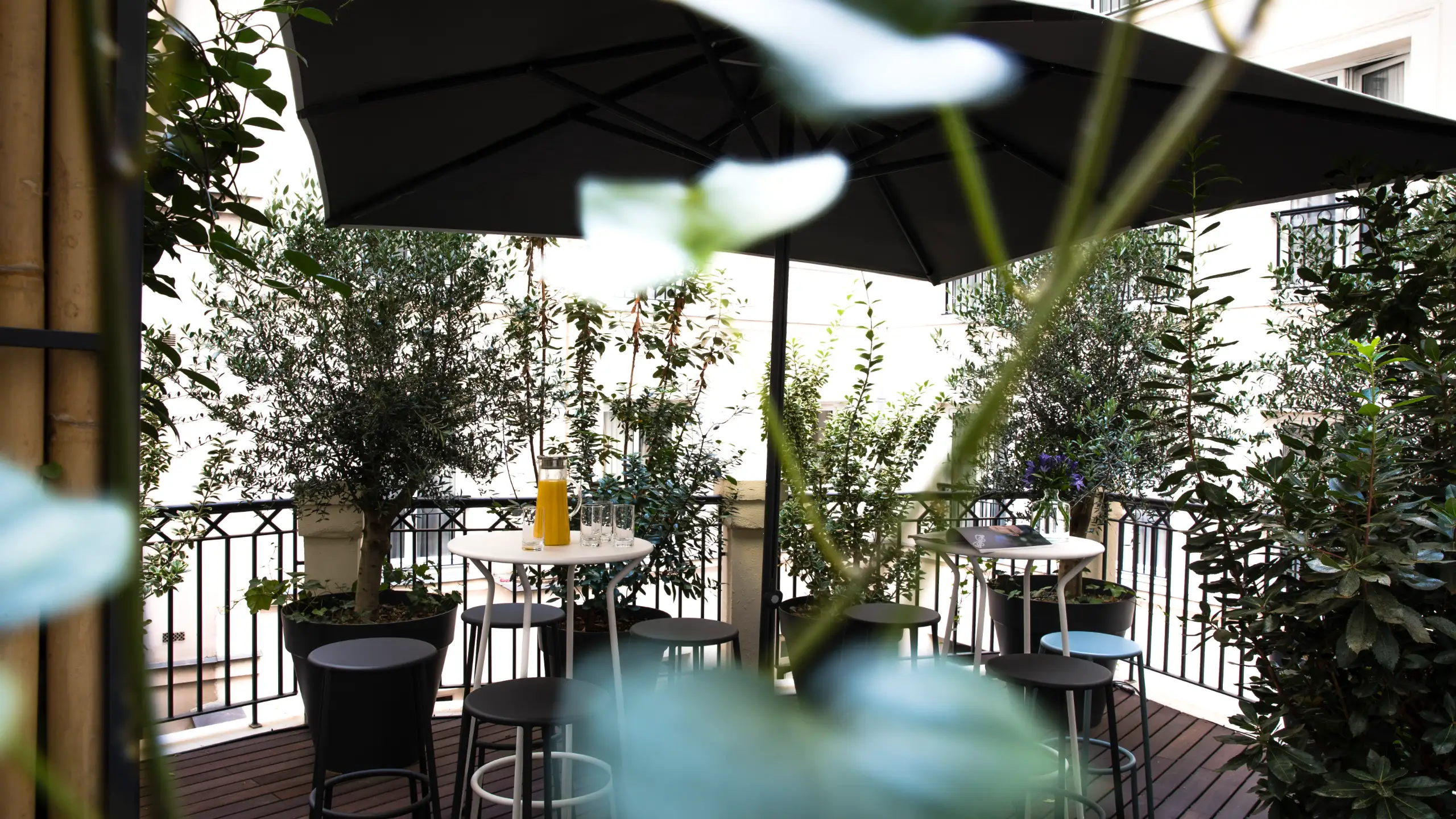 酒廊酒吧 - 图片 3