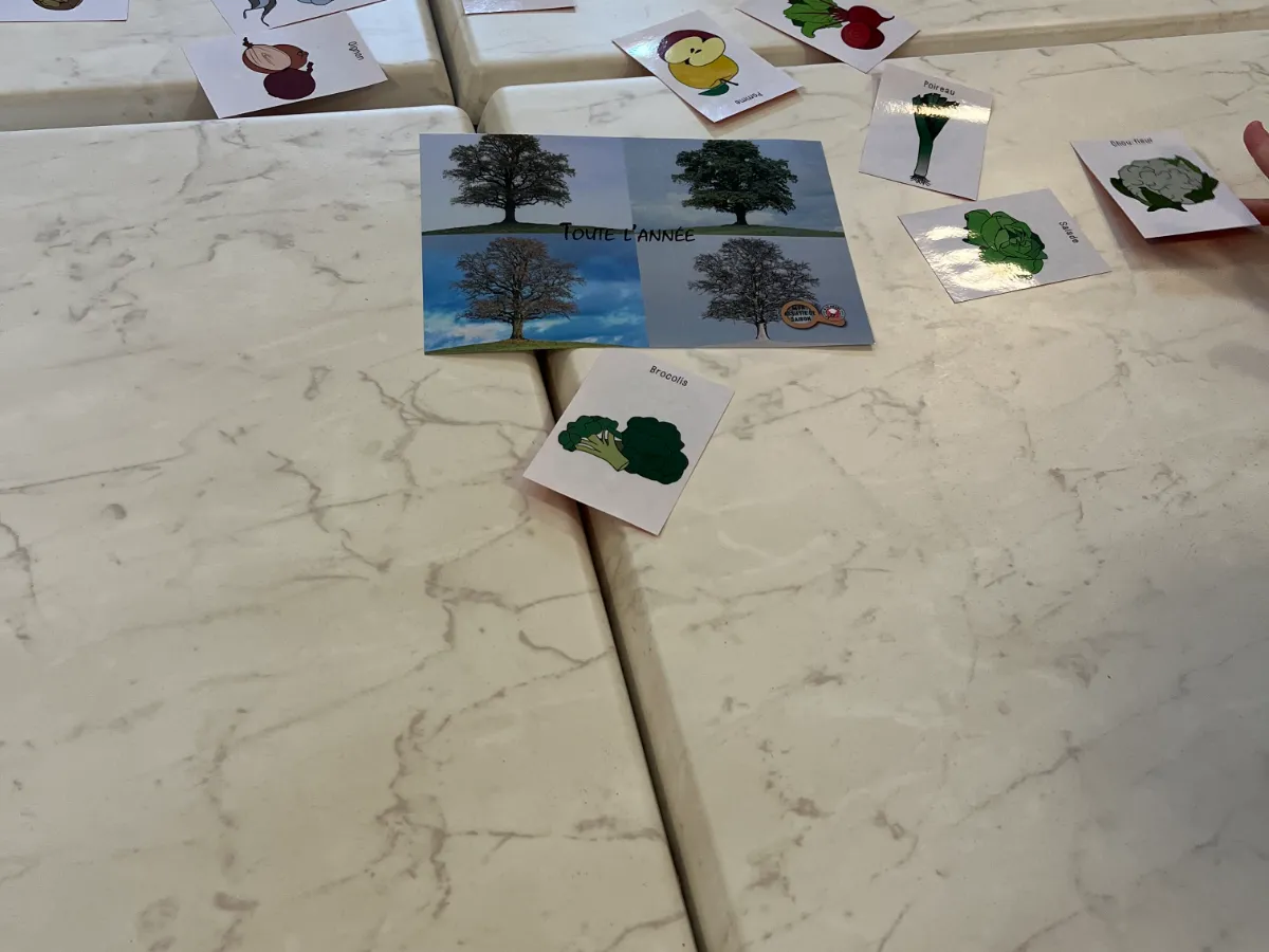 Rencontre intergénérationnelle avec l'école Montessori d'Anglet – Fruits, légumes et partage