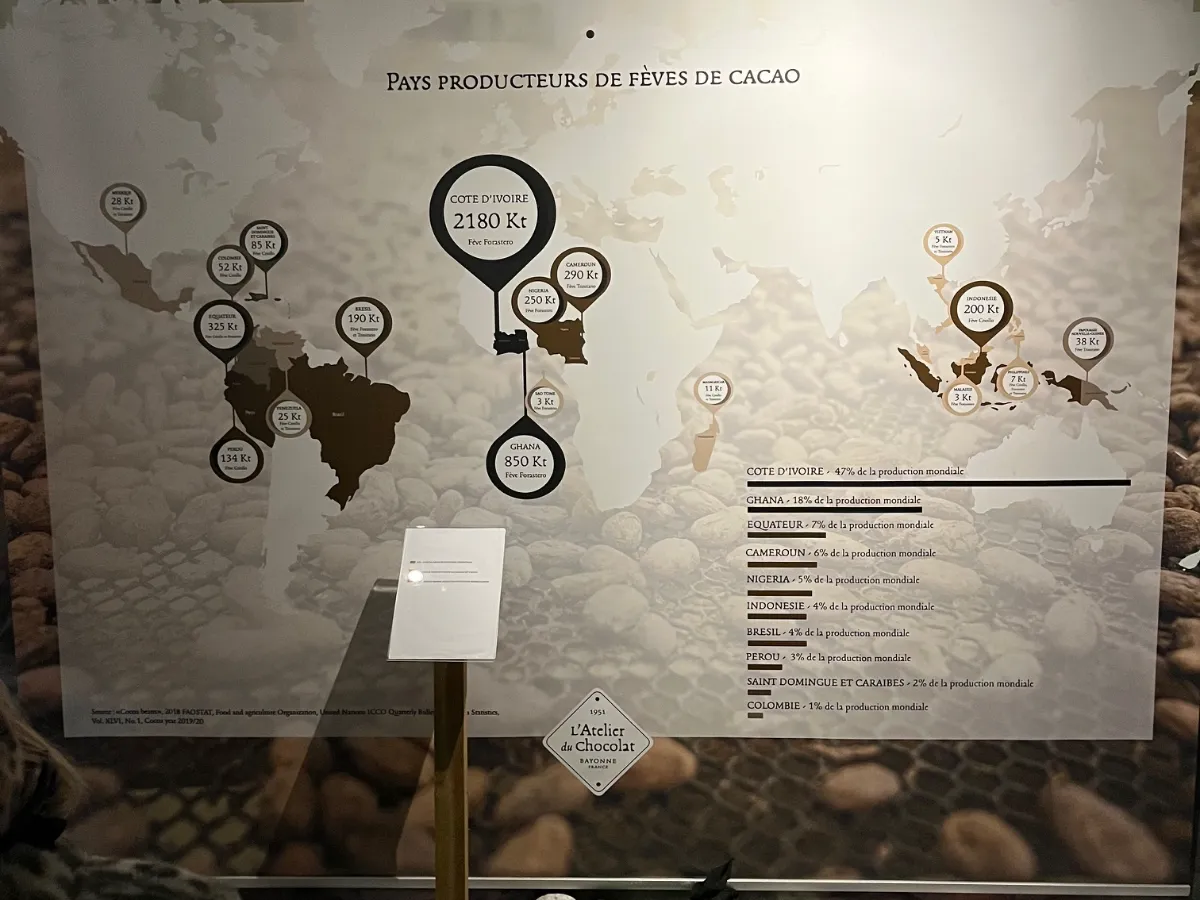 Visite et dégustation à l'Atelier du Chocolat – Une sortie gourmande pour nos résidents