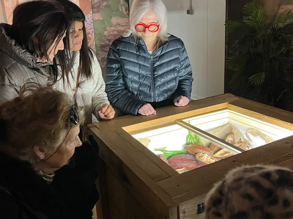 Visite et dégustation à l'Atelier du Chocolat – Une sortie gourmande pour nos résidents