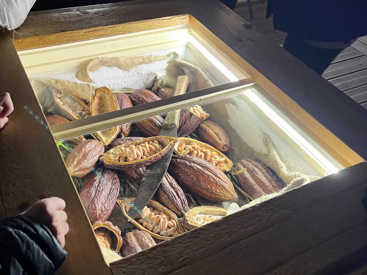 Visite et dégustation à l'Atelier du Chocolat – Une sortie gourmande pour nos résidents