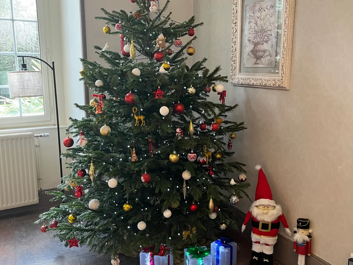 Loto de Noël au Parc d'Hiver – Familles, accordéon et vin chaud pour un après-midi festif